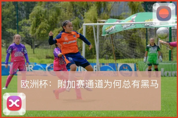 欧洲杯：附加赛通道为何总有黑马