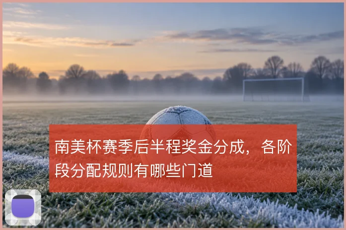 南美杯赛季后半程奖金分成，各阶段分配规则有哪些门道